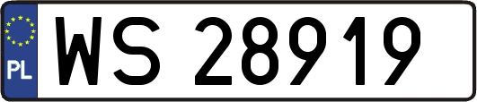 WS28919