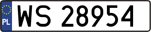 WS28954