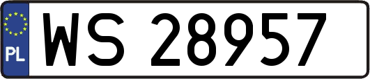 WS28957