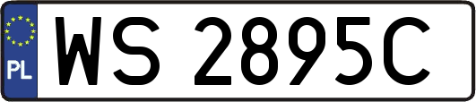 WS2895C