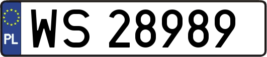 WS28989