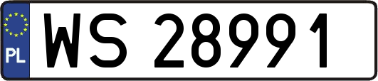 WS28991