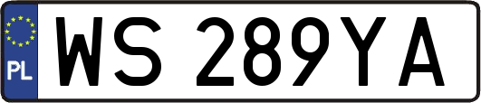 WS289YA