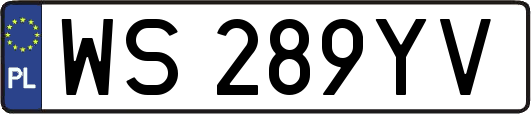 WS289YV