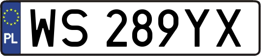 WS289YX