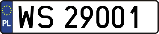 WS29001