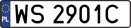 WS2901C