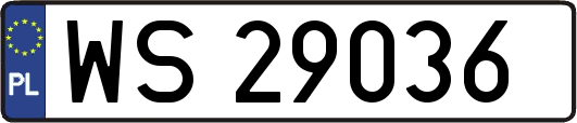 WS29036