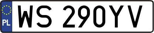 WS290YV