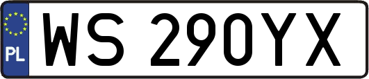 WS290YX