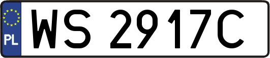 WS2917C