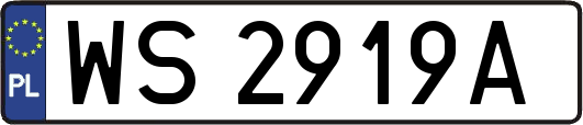 WS2919A