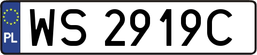 WS2919C