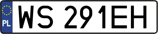 WS291EH