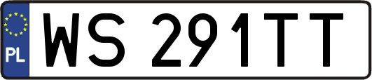 WS291TT