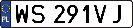 WS291VJ