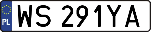 WS291YA