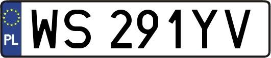 WS291YV