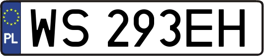 WS293EH