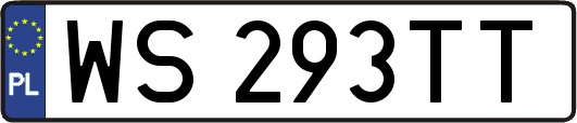 WS293TT