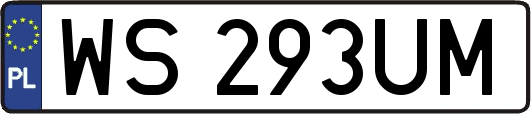 WS293UM