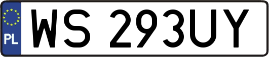 WS293UY