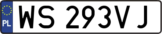 WS293VJ