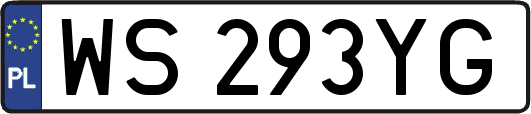 WS293YG