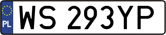 WS293YP
