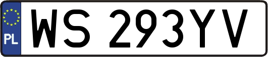 WS293YV