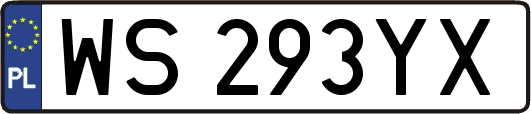 WS293YX