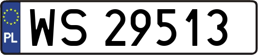 WS29513