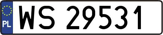 WS29531