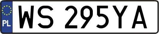 WS295YA