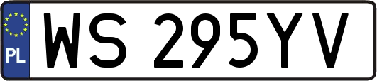 WS295YV
