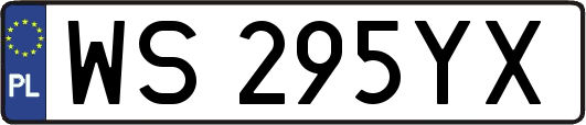 WS295YX