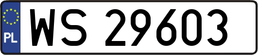 WS29603