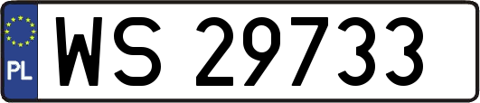 WS29733