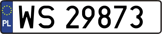 WS29873
