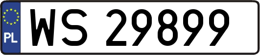 WS29899