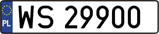 WS29900
