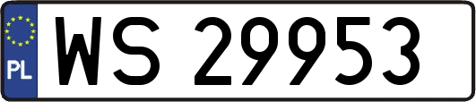 WS29953