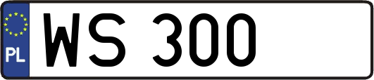WS300