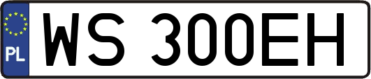 WS300EH
