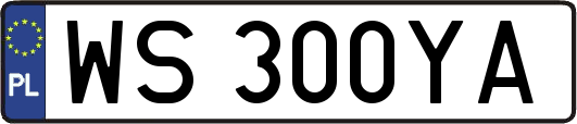 WS300YA