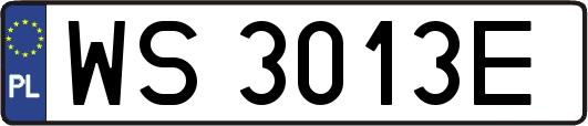 WS3013E