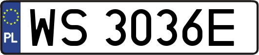 WS3036E