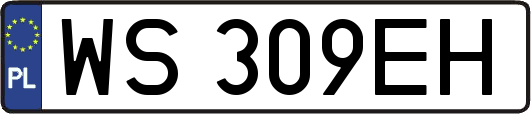 WS309EH