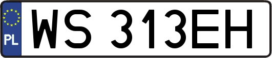 WS313EH