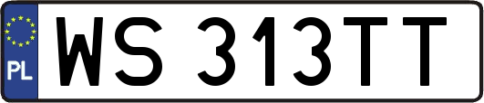 WS313TT